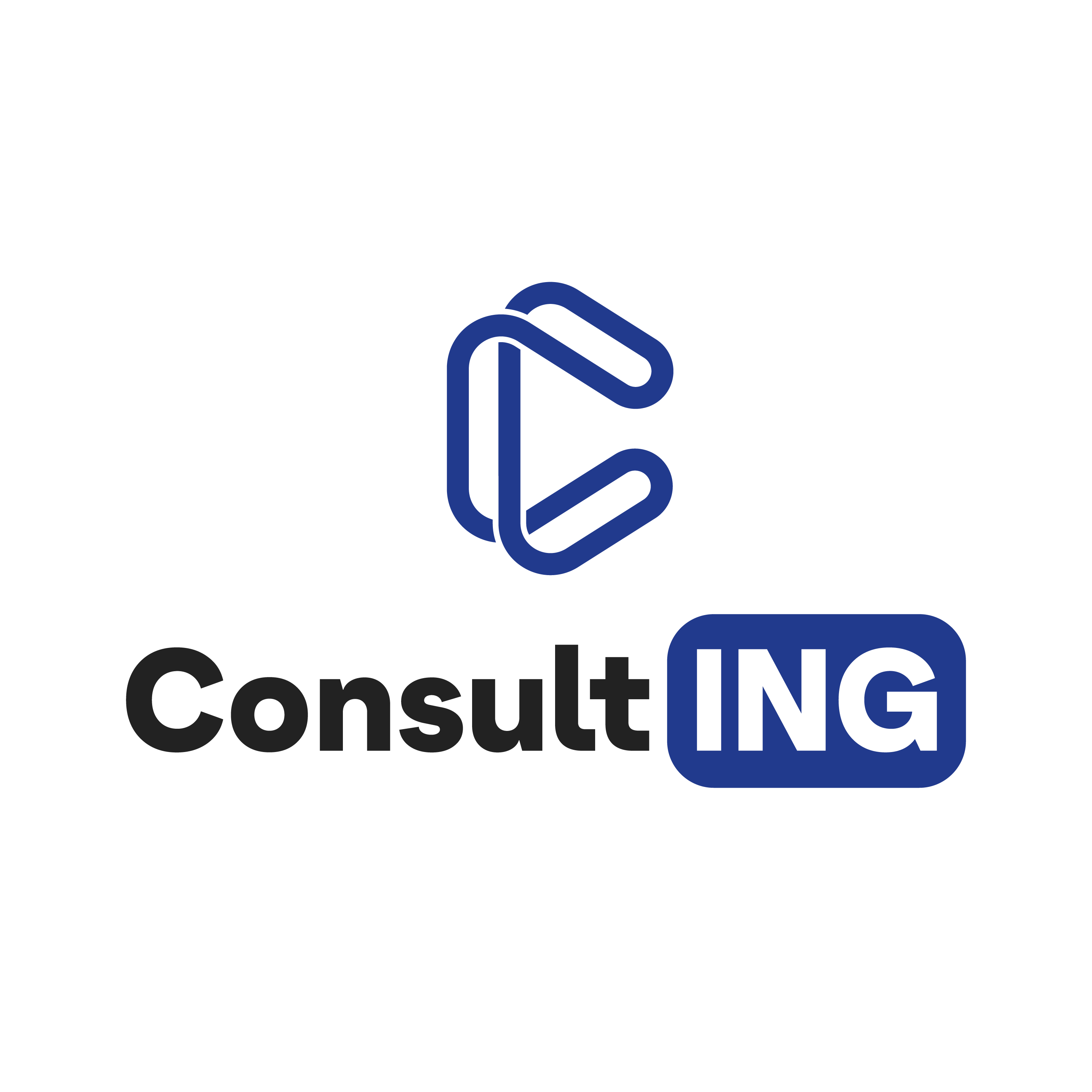 Consult-ING